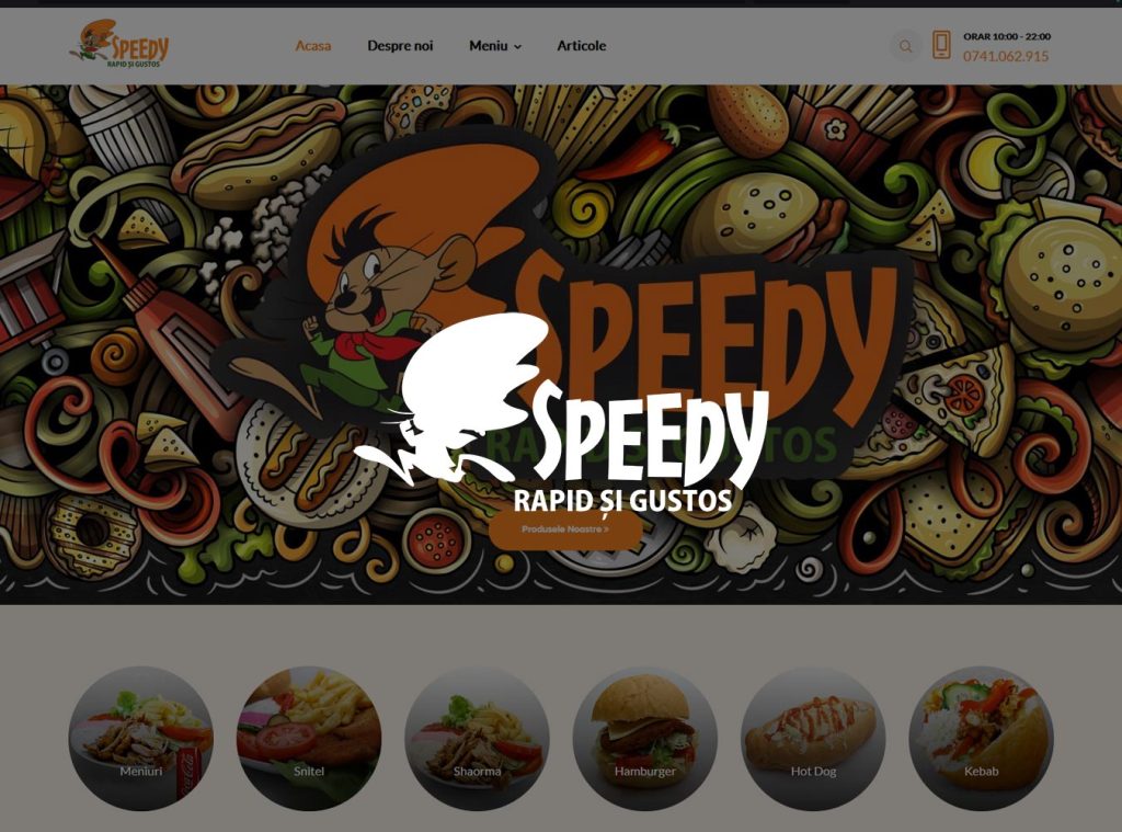 Web design Speedy Baia Mare